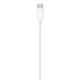 Apple Cable de USB-C a Lightning (1m)