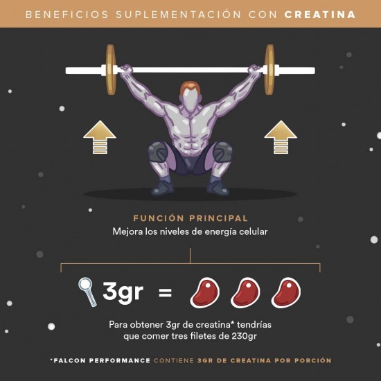 Birdman Falcon Performance Proteina Premium En Polvo, 30gr proteina, 3g Creatina, 45 Porciones Sabor Golden Vanilla 1.9Kg