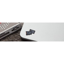 Kingston MicroSDXC Select Plus 128GB (Con Adaptador a SD) Clase 10, UHS-I, U1, V10 Lectura: 100MB/s (SDCS2/128GB)